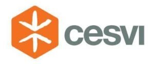 Fondazione cesvi onlus